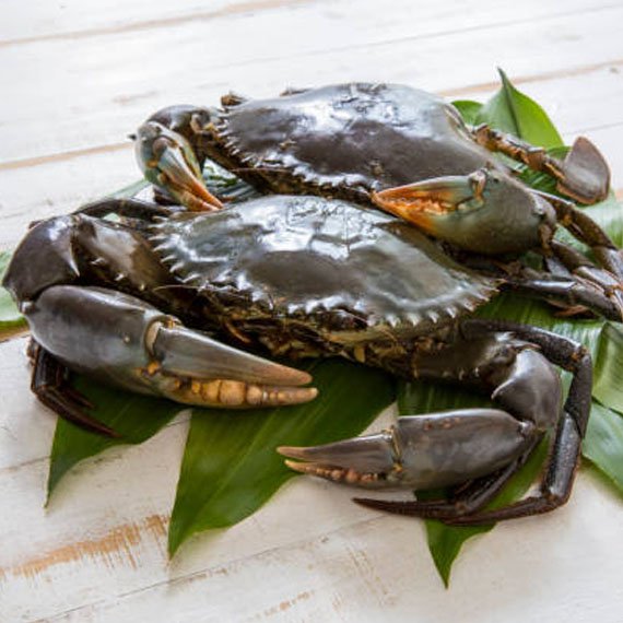 Listing cover image